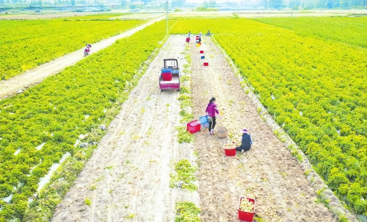 随州唐县镇现在的发展,唐县各乡镇经济实力
