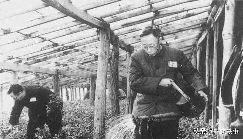 溥仪被赶出紫禁城末代皇帝,清朝末代皇帝溥仪沦为平民