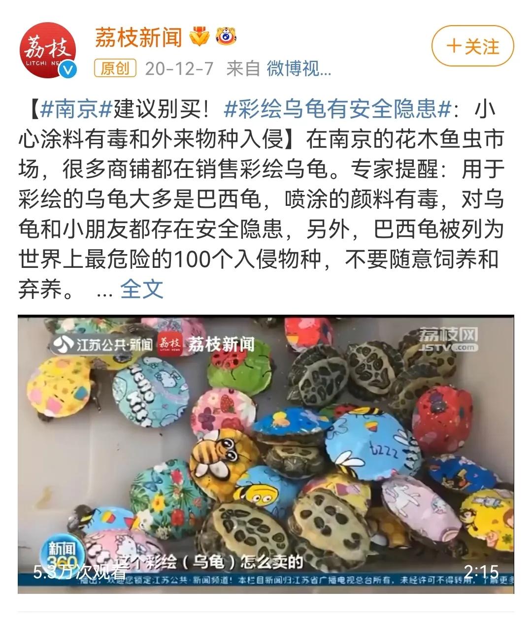 这样的阴间猫狗审美，早该翻车了