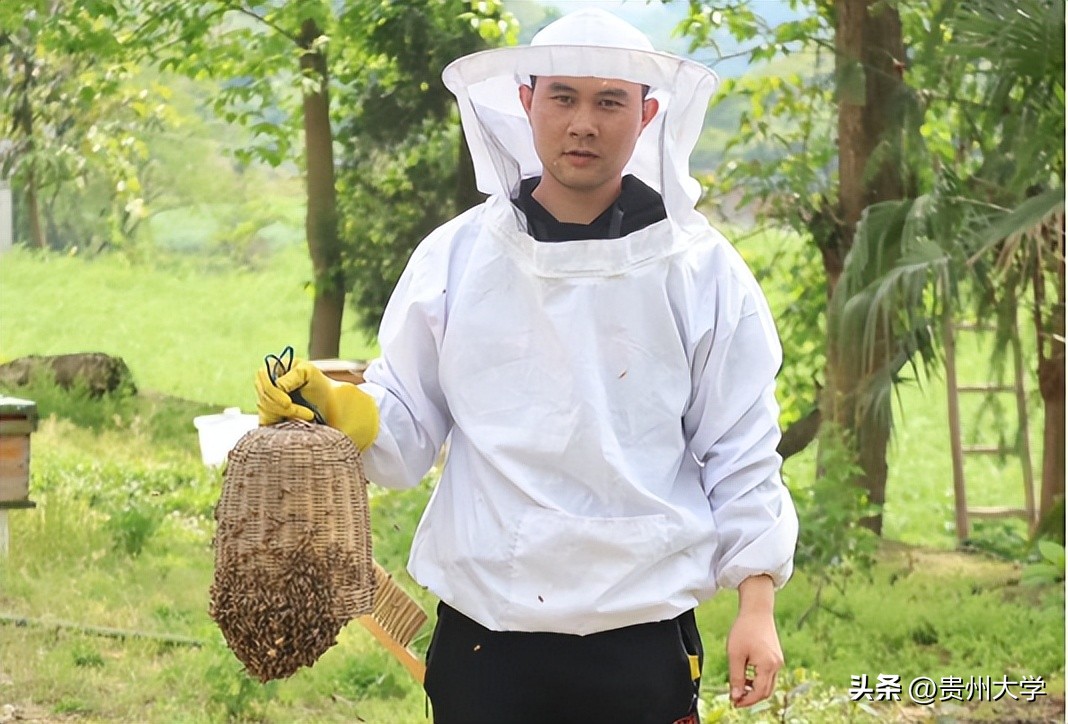 璐靛ぇ瀛﹂櫌,璐靛ぇ鏈鍗囧