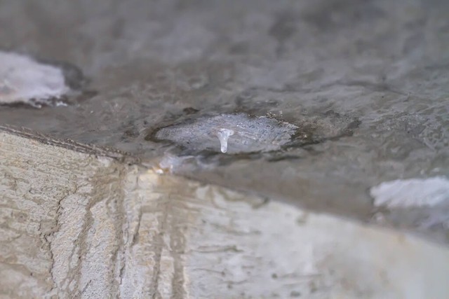 小区楼房屋顶漏水找哪里处理,高层房屋楼顶漏水怎么划分责任