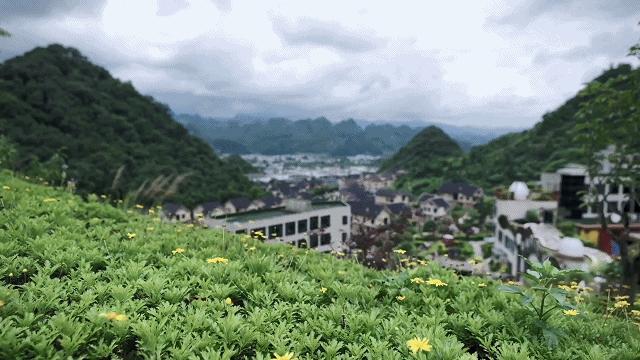 为爱黔行爱心大使,为爱黔行吴建林简历