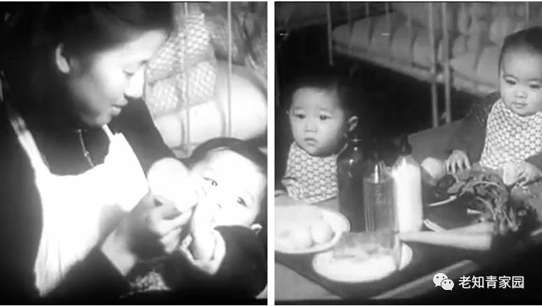 50年代的人成长经历,五十年代生人成长史