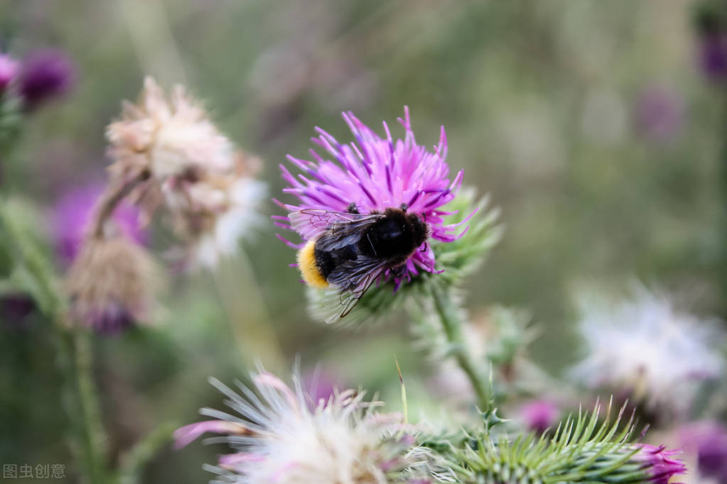 庄子所参透的生命真相,庄子为什么说死和生一样