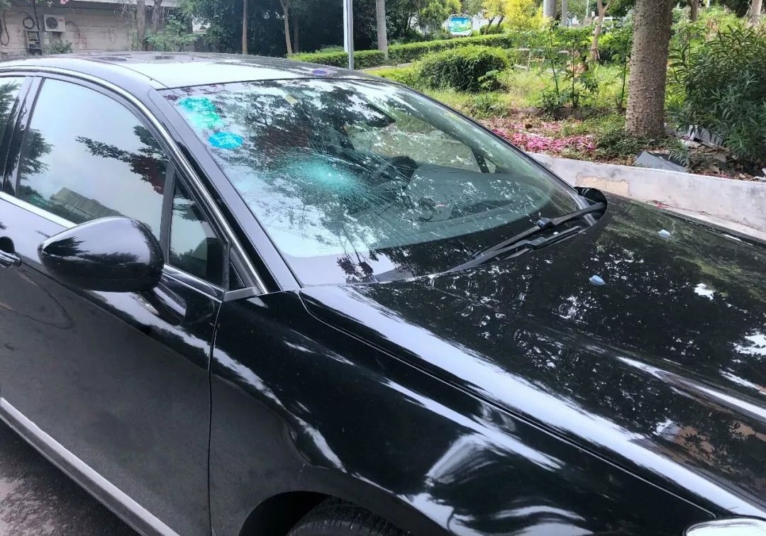 车险事故多久内报保险,车险小事故应该私了还是报保险