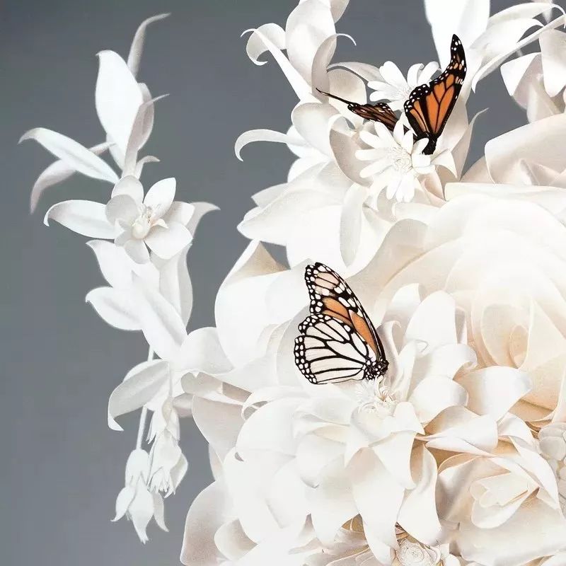 美女画家挑战冷军，画少女人体，放大10倍看细节让网友不淡定