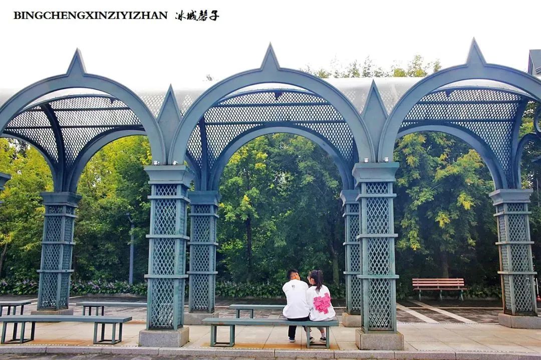 黑龙江恐龙之乡嘉荫县,中俄边境伊春市嘉荫县