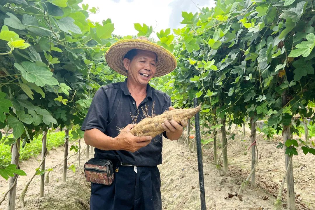 百千万工程助力乡村振兴惠州,百千万工程助力乡村振兴中山