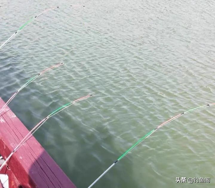 钓汪刺打窝技巧,冬季钓汪刺打窝技巧
