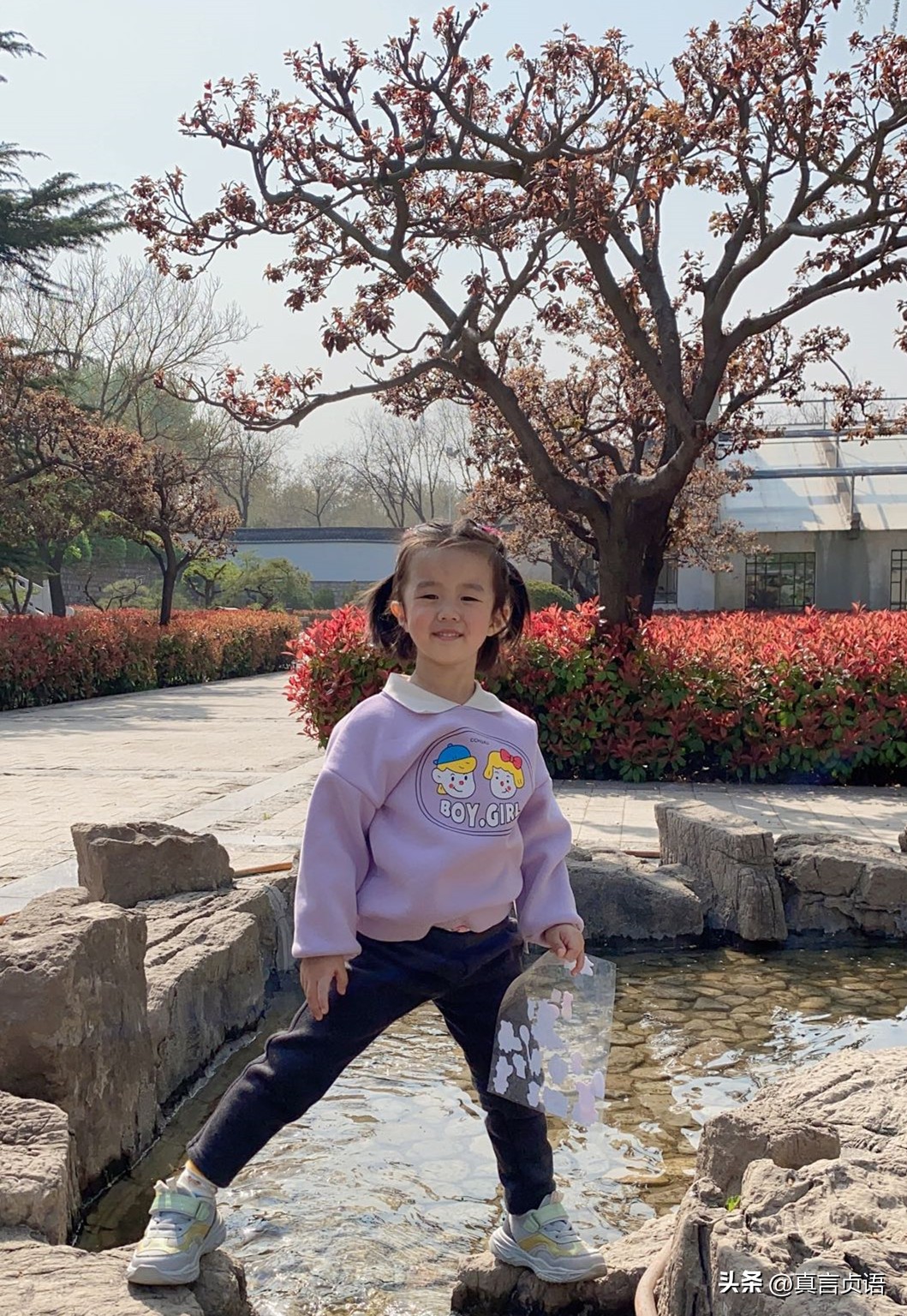 高子乔诗歌二首：淘气丨小宝贝，朗诵：丛子淇