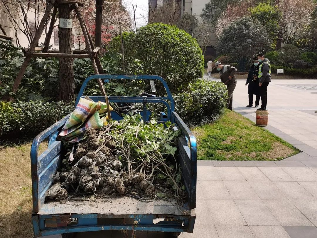 对永威置业的看法,永威业主一封信