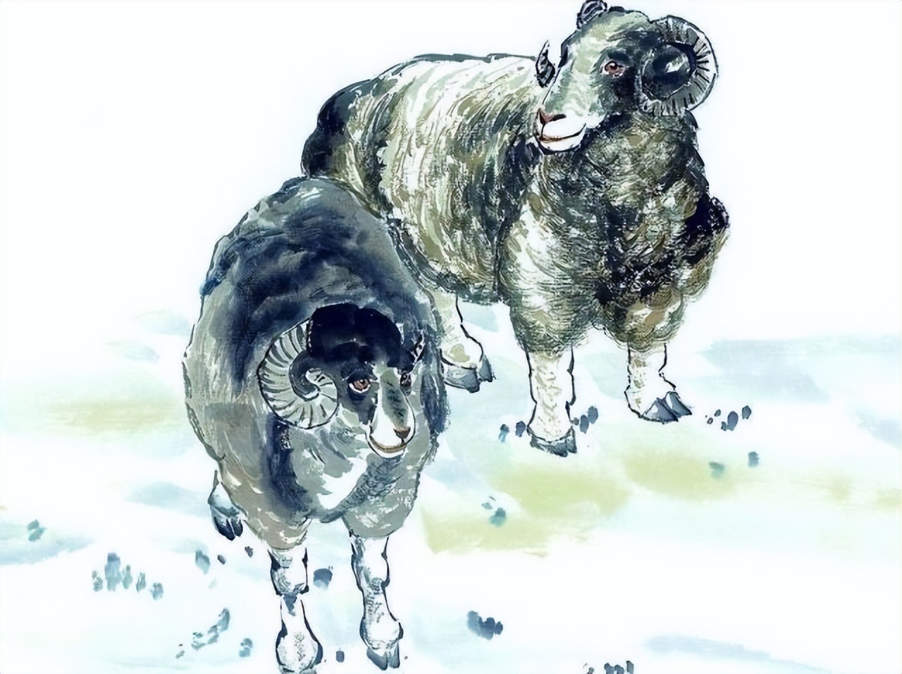 情比金坚不分离的生肖,情比金坚的五大生肖