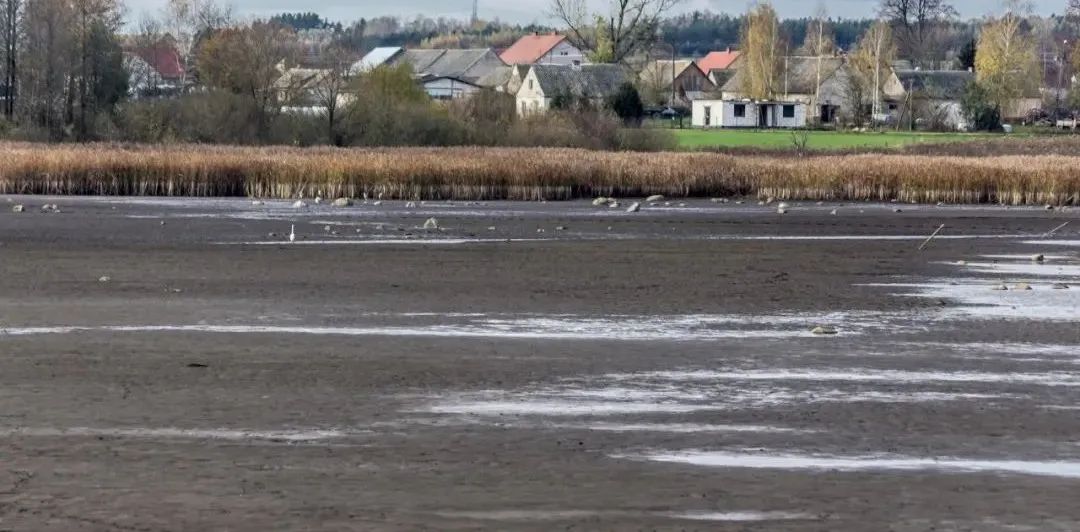 池塘水浑水浓怎么处理,池塘水浑的原因及解决方案
