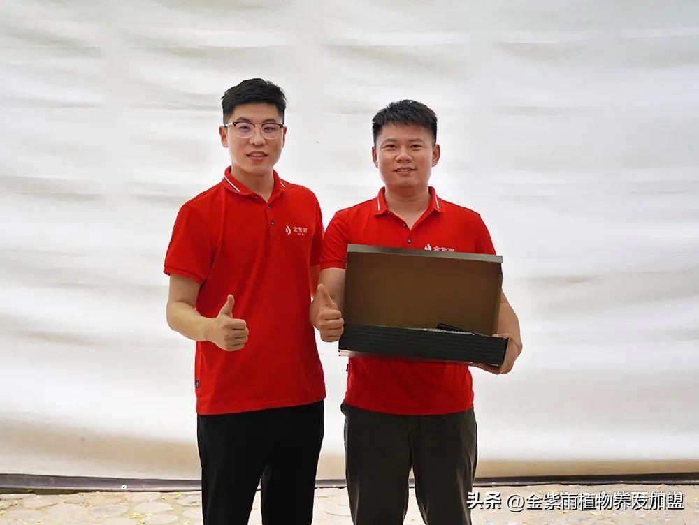 伊莱雅集团直播,伊莱雅集团