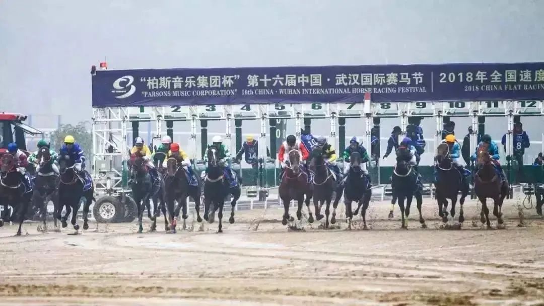 原来，茅台、TCL、三一重工……早成了国外赛马的“资深玩家”