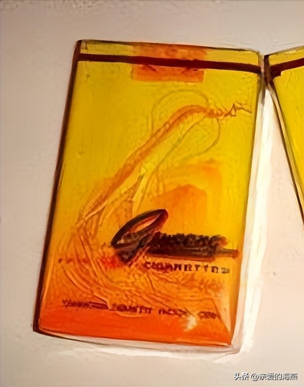 十款老牌香烟有谁抽过三种以上的,中国十大绝版老香烟