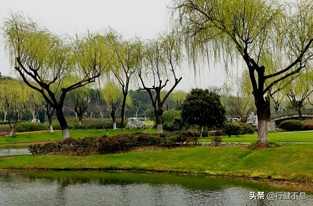 荷花十里桂三秋：十二首著名诗词，领略杭州的诗意之美