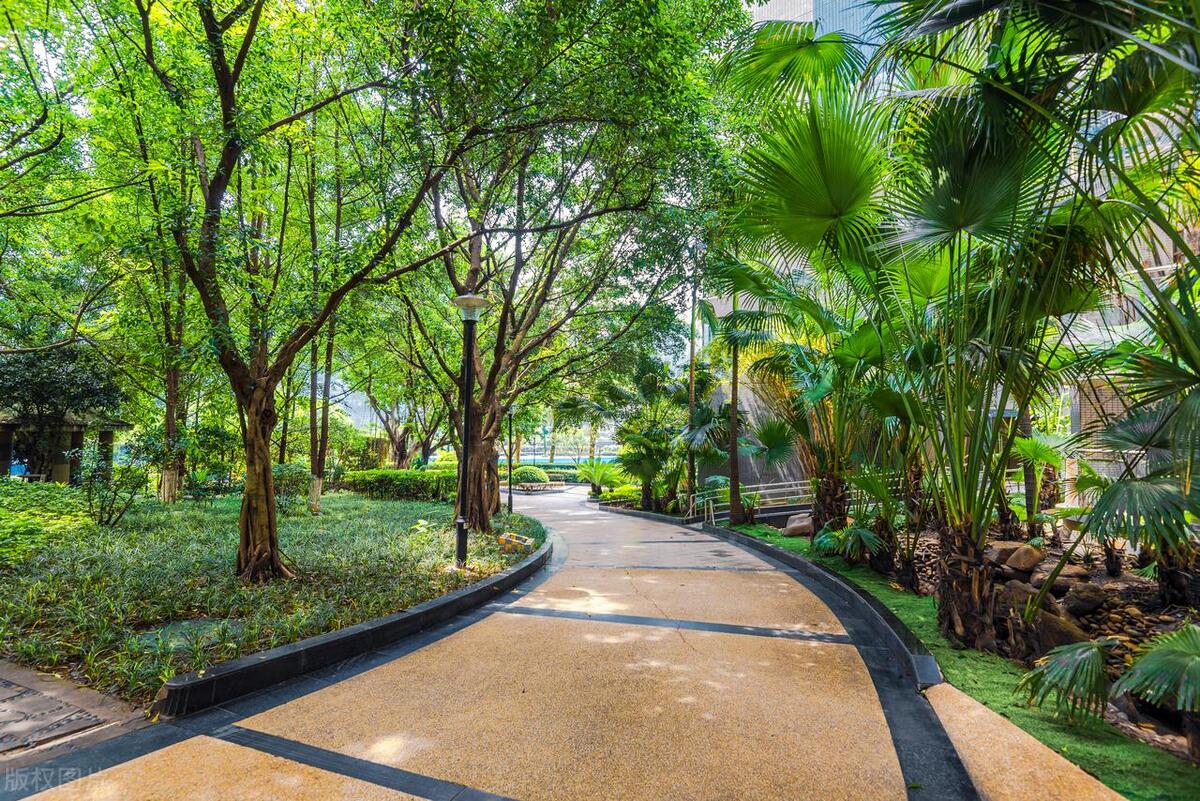 园林绿化养护一般包含哪些内容,园林绿化属于什么经费