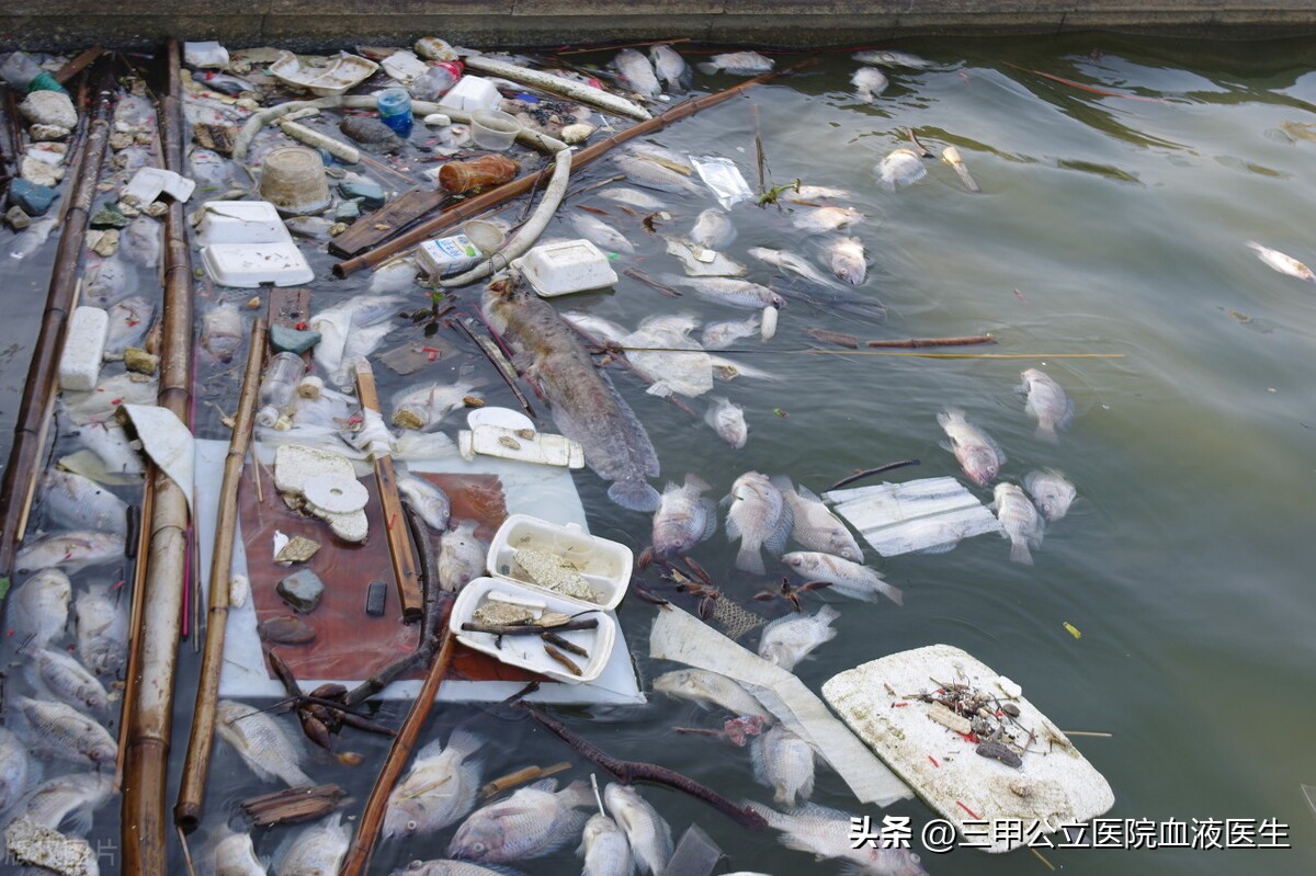 医生提醒药不可乱吃应规范治疗,医生提醒吃这些药很危险