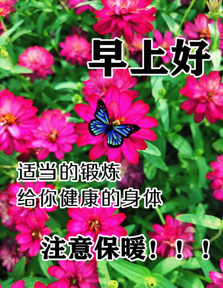 早晨好表情图片大全大图,下雨天的早晨好动态表情图片