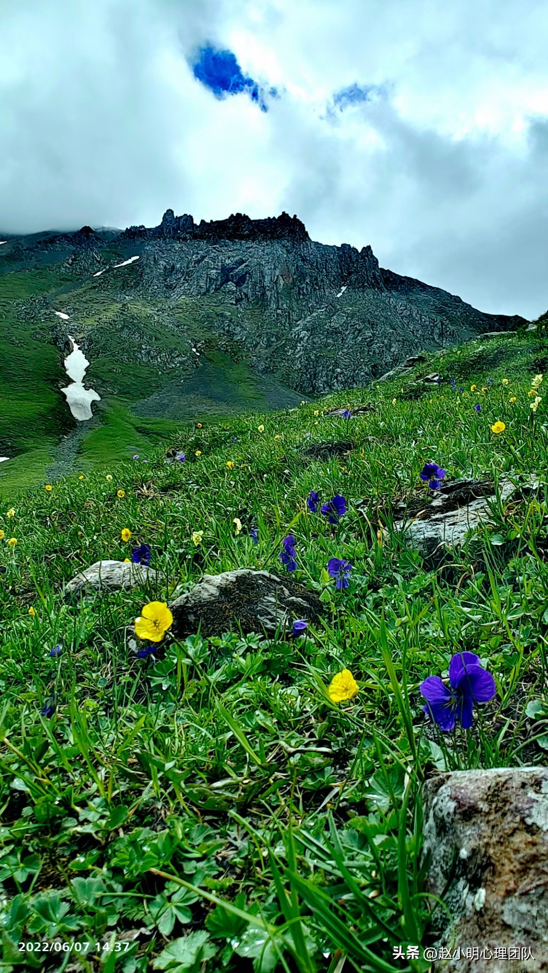 赵小明心理学培训,赵小明有效思维