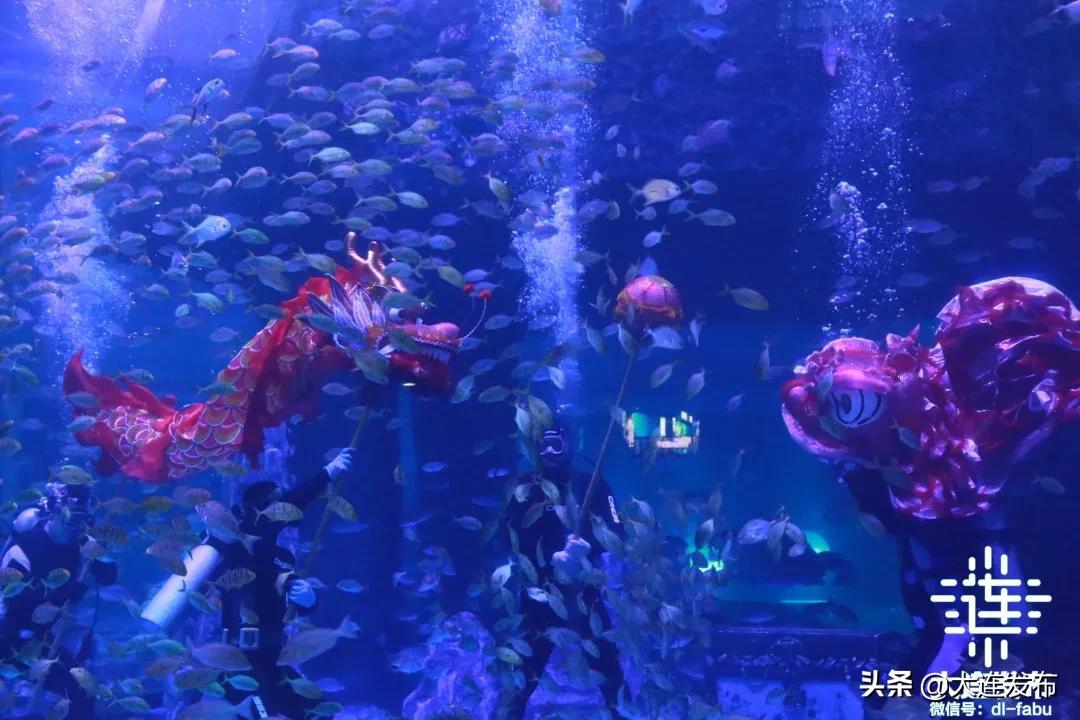 大连旅游景点春节优惠活动,春节期间大连景区的特惠活动