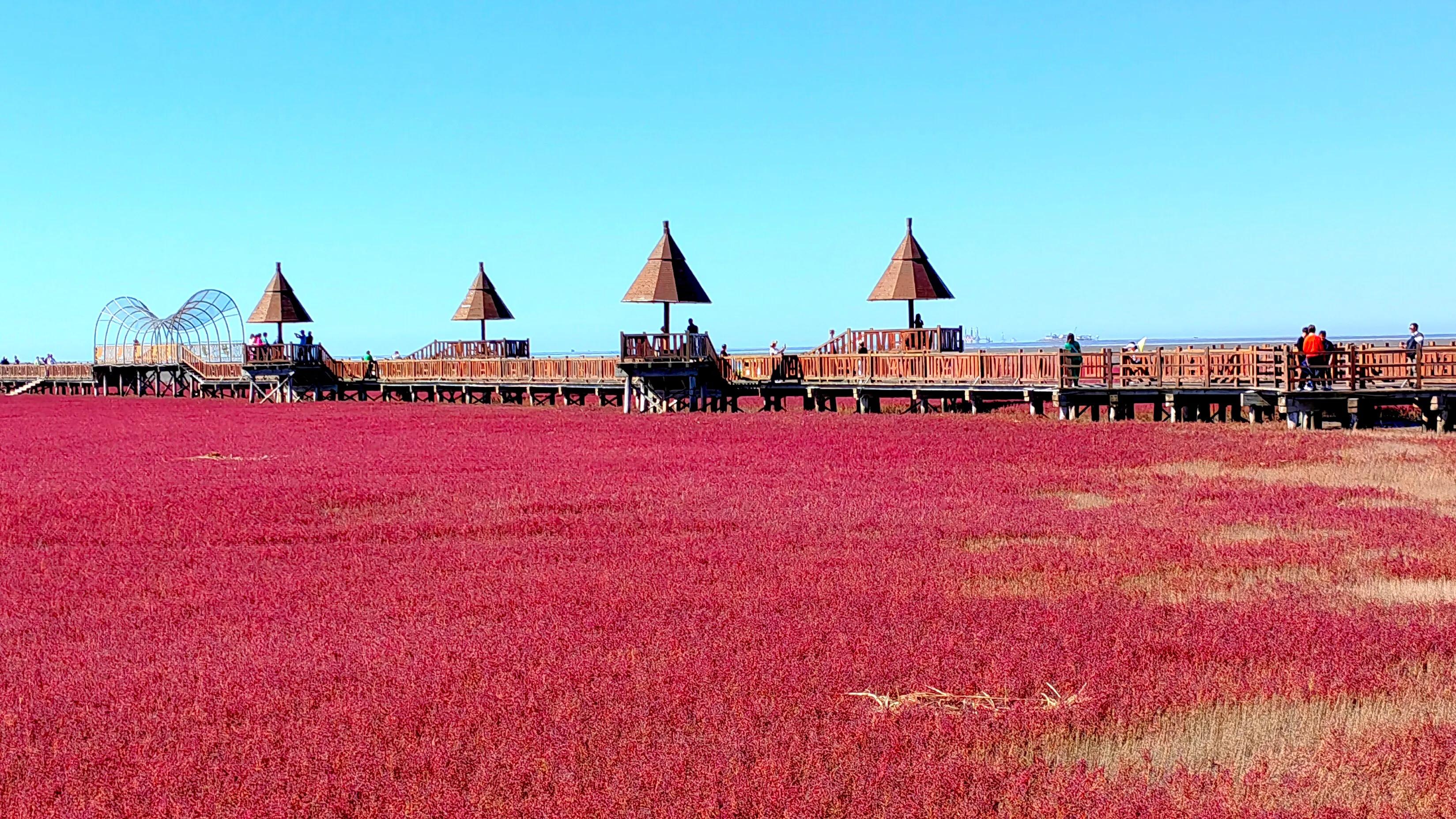 手拍世界作品专集,手拍世界283期