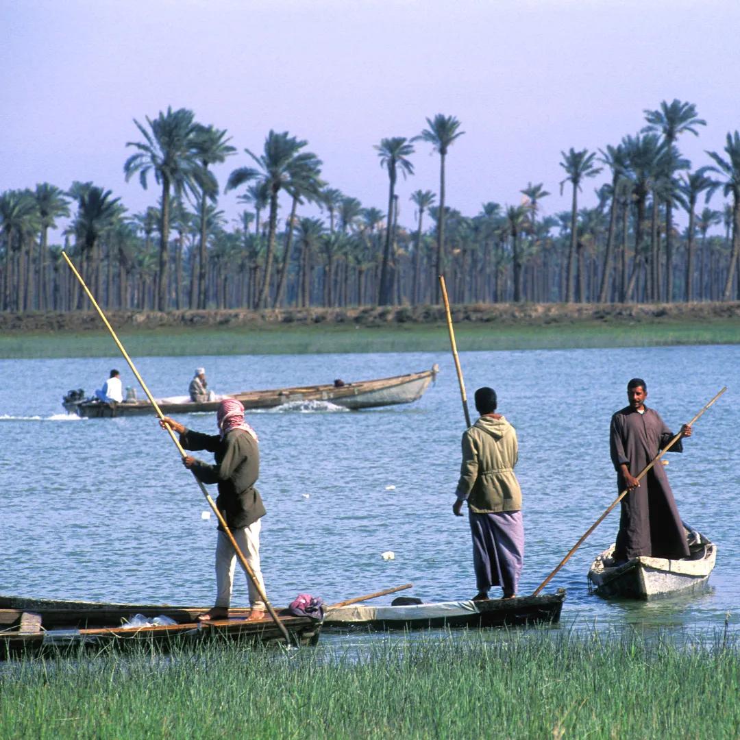 伊拉克热炸了,伊拉克热