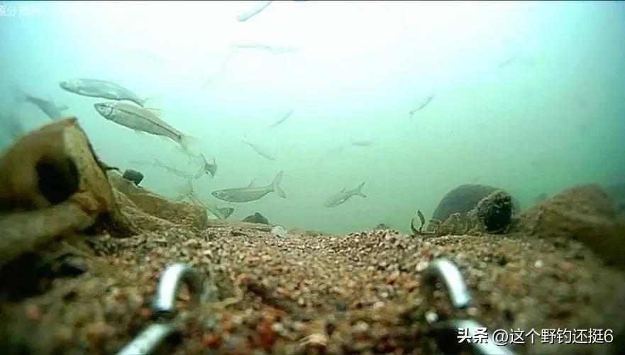 可视探测鱼器好用么,探鱼器对于钓鱼爱好者来说有用吗