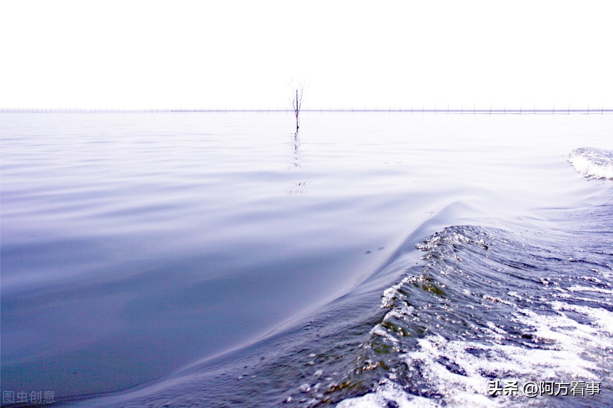 山东旅游推荐微山湖旅游区,微山湖5a景区