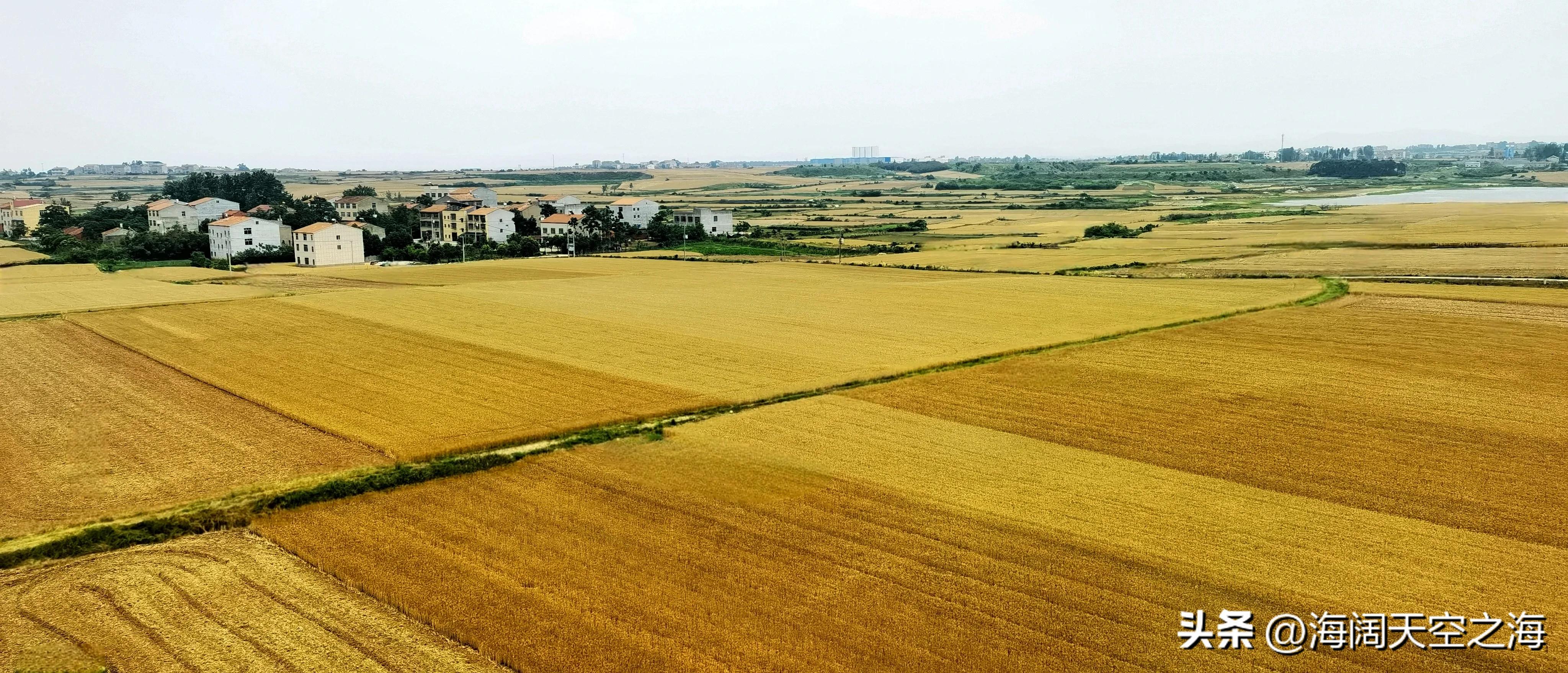 风吹麦浪完整版,风吹麦浪