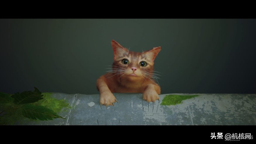 璧涘崥搴熷,璧涘崥搴熷鐑熼浘