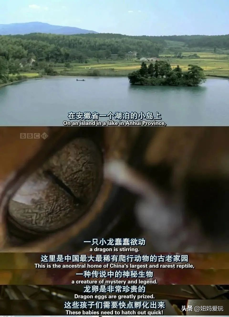 带你真切看人间的宝藏纪录片top10,十一长假适合带孩子看的纪录片