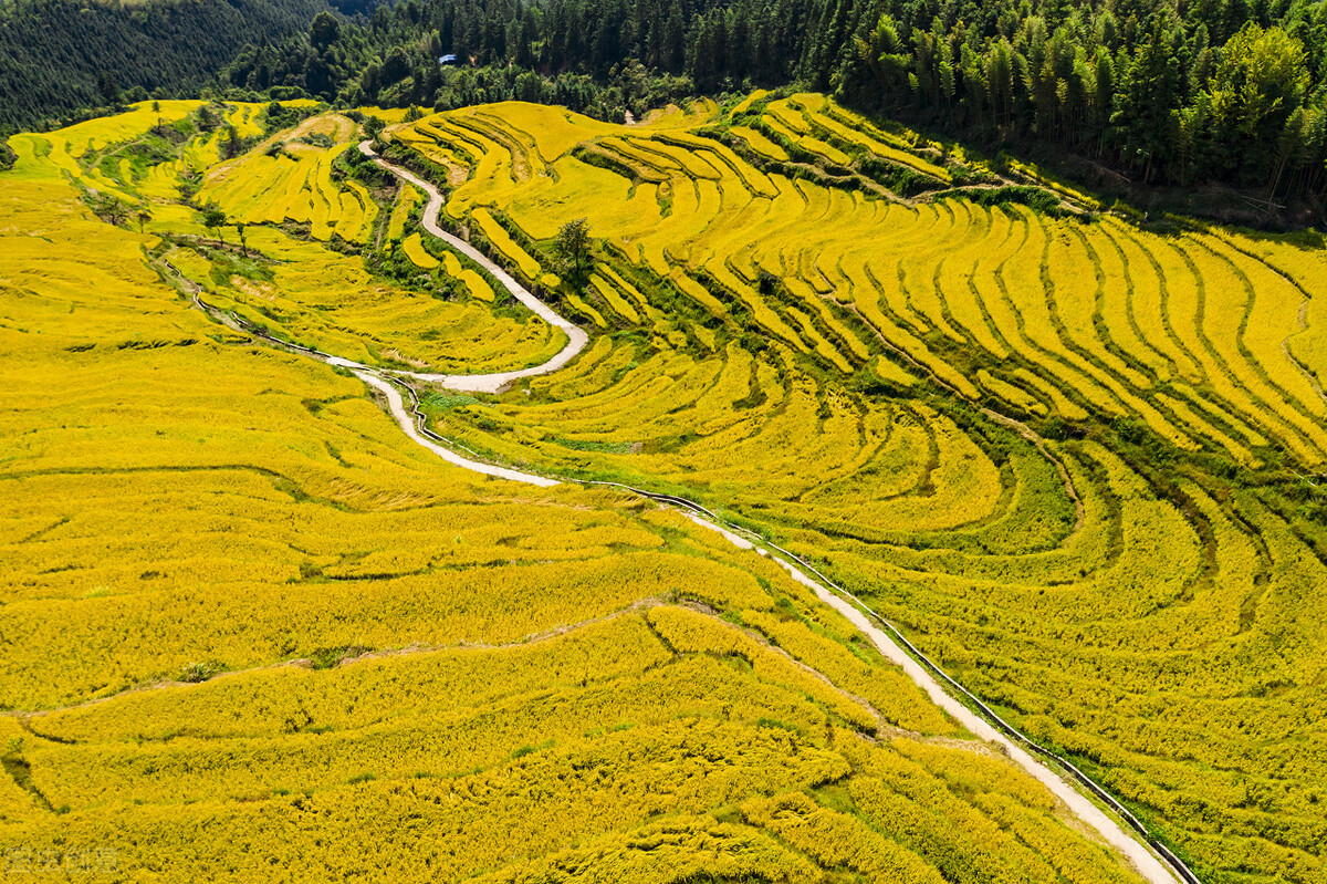 国庆去哪儿?广州周边人少好玩的宝藏地推荐给你,拒绝人挤人