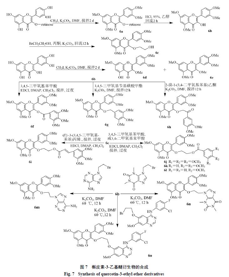 槲皮素的氧化机理,槲皮素的有关药物活性成分