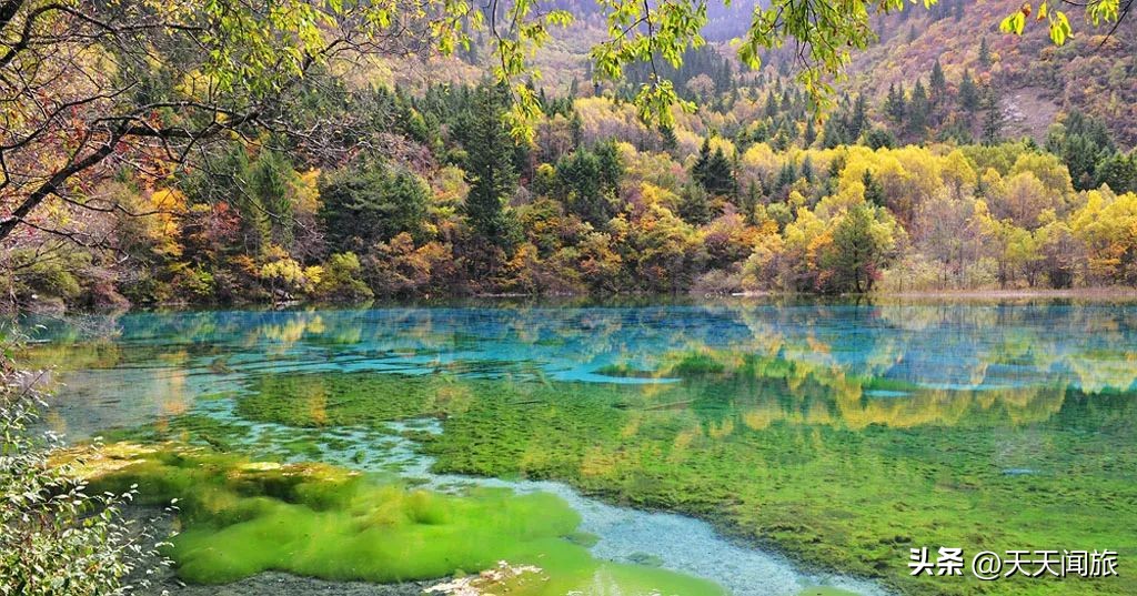 九寨归来不看水四川行,九寨归来不看水峨眉归来不看山