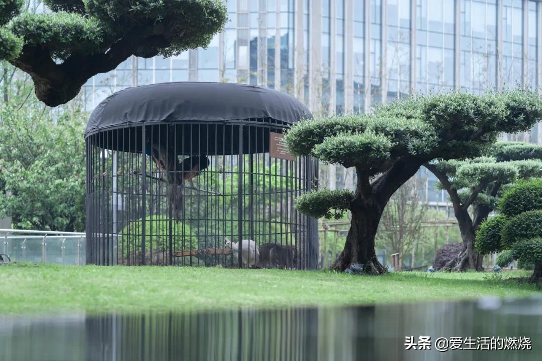 上海阿纳迪酒店特色和作用,上海阿纳迪酒店评价