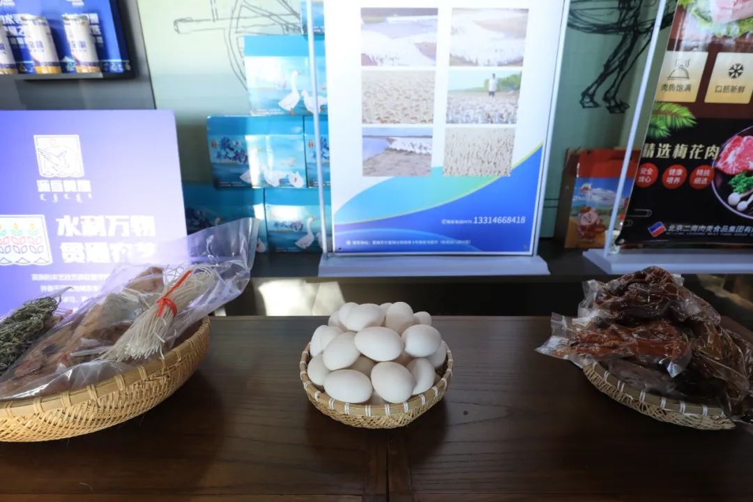 2022-2023年达斡尔冰钓季精彩集锦!