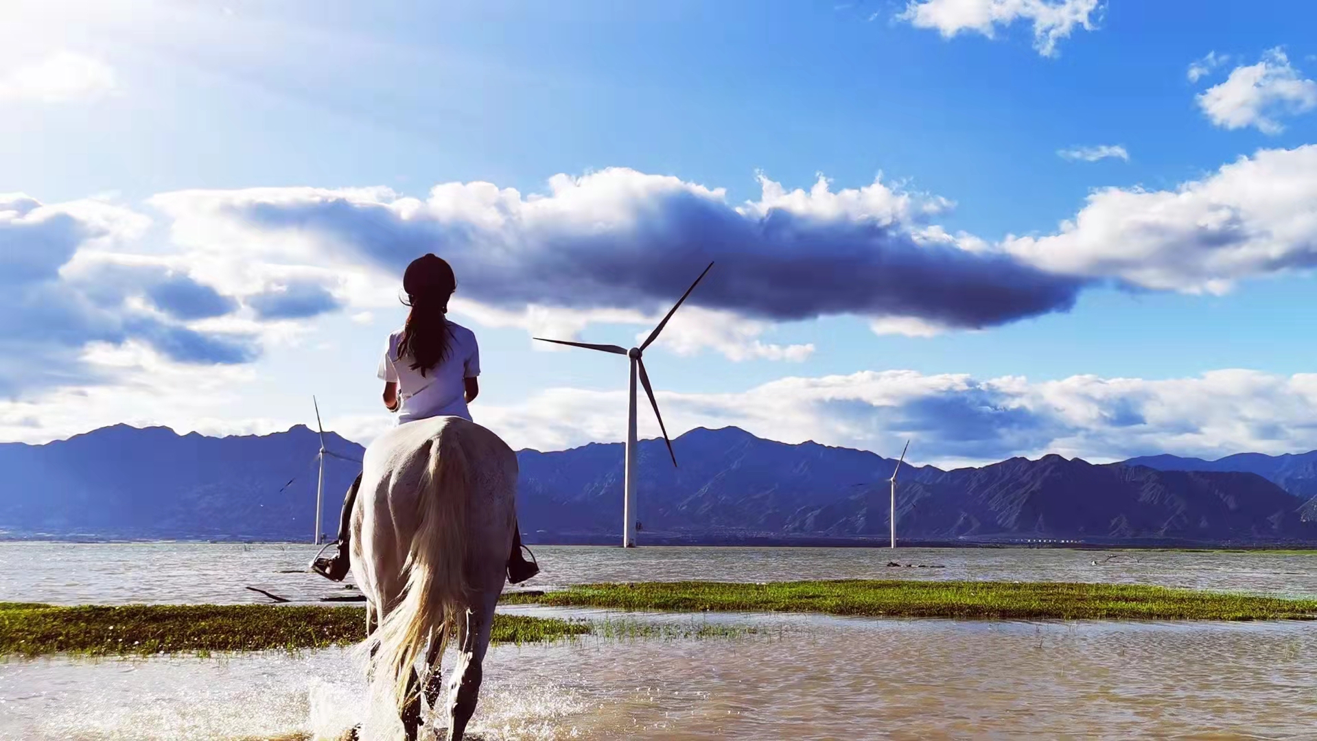 2023华杯赛夏令营,华誉外交官