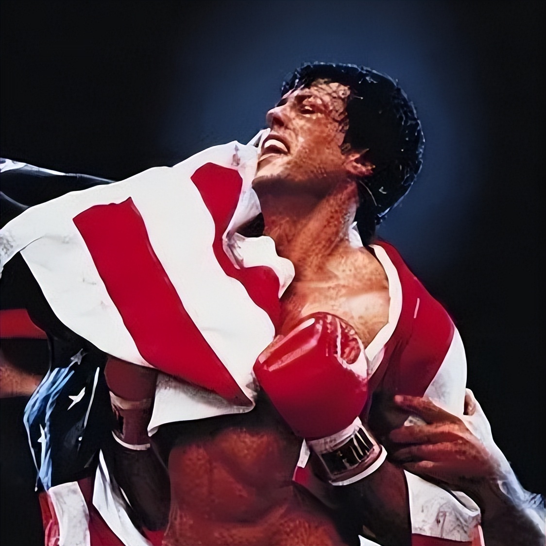 洛奇背后的故事,洛奇励志鼻祖