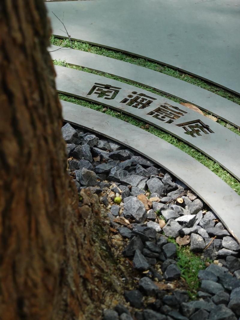 深圳市蛇口攻略,深圳海岛蛇口