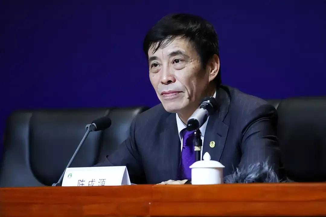 被查，涉嫌严重违纪违法，足协主席陈戌源到底是协查还是被查