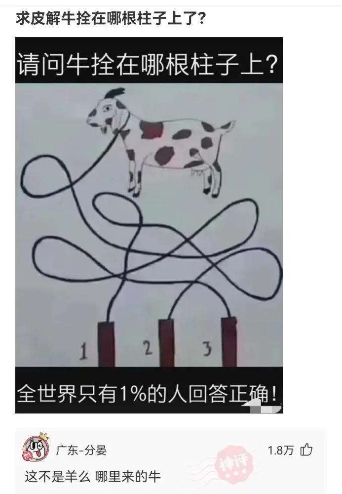 买球买强队天台去排队什么意思,买球买强队天台去排队配图