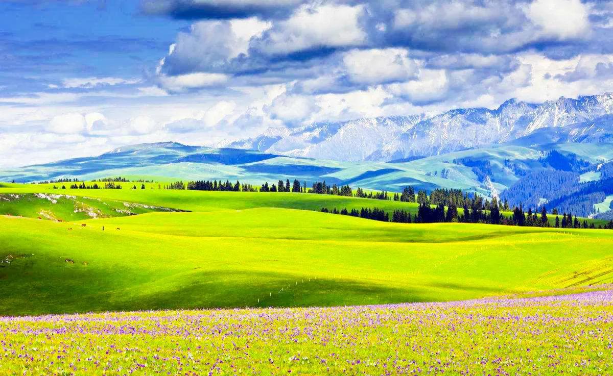 人生难得静心,人生难得清净心