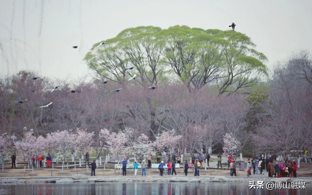 颐和园跟故宫哪个好玩,除了颐和园还有什么好玩的地方