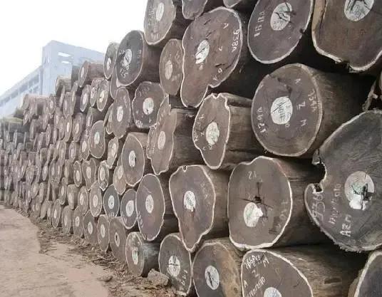 鸡翅木入选红木理由,鸡翅木最廉价的红木