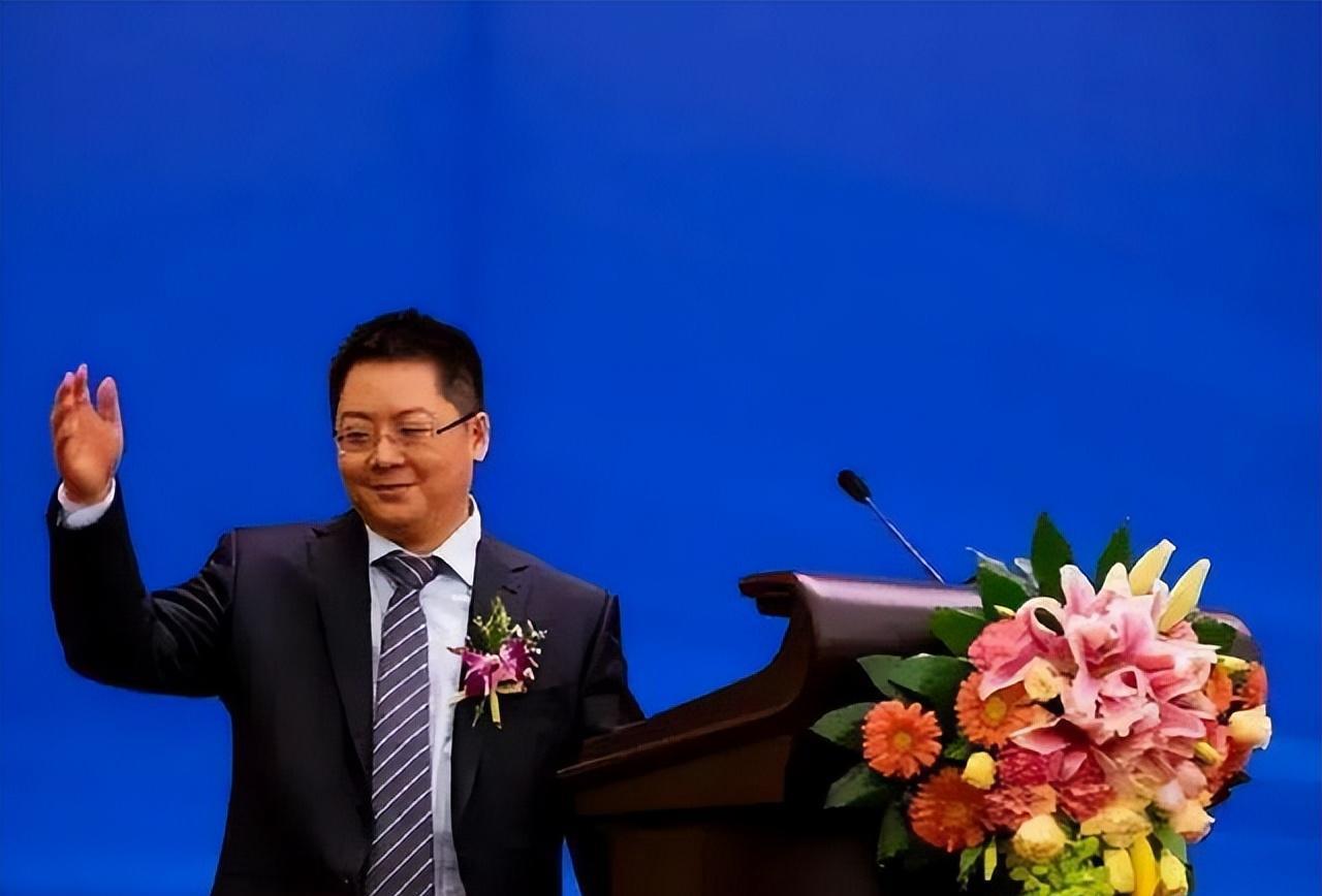 缅北诈骗团伙跟丁宁有关吗,e租宝丁宁是在缅北抓的吗