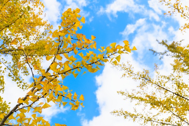 自我提升的8个方法,自我提升的8个好习惯迷茫时看