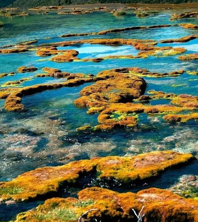 四川成都旅游导游服务,四川成都五日游自由行攻略