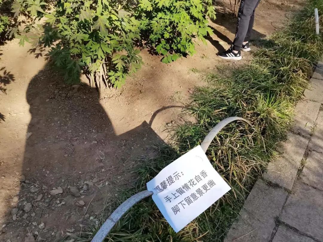 城市文明旅游,文明旅游才是最美的风景